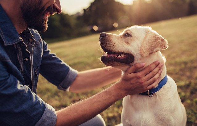 Η-τεχνητή-νοημοσύνη-«μεταφράζει»-τα-συναισθήματα-των-ζώων