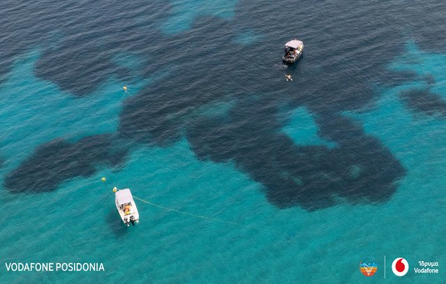 Το-πρόγραμμα-vodafone-posidonia-παρουσιάστηκε-στην-Επιτροπή-Περιβάλλοντος-της-Βουλής