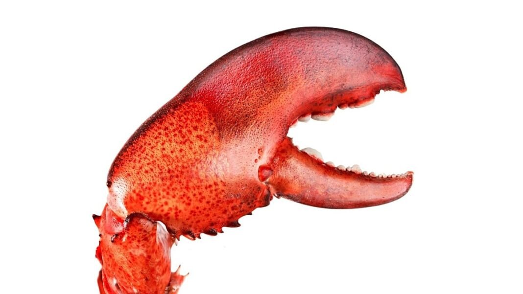 Ο-δημιουργός-της-viral-ai-εταιρείας-openclaw-εντάσσεται-στην-openai