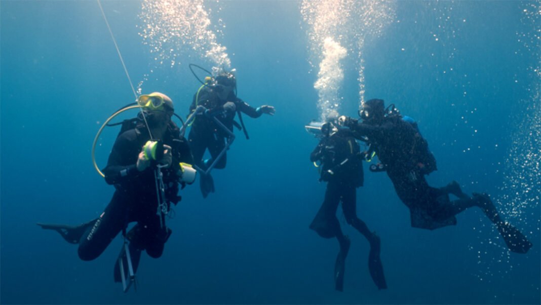 Πρεμιέρα-για-τη-σειρά-ντοκιμαντέρ-«Μπλε-Δάση»-της-cosmote-tv