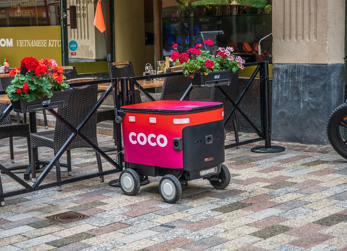 Γυναίκα κυνήγησε ρομπότ που μπήκε στην αυλή της και… διέλυσε τον κήπο