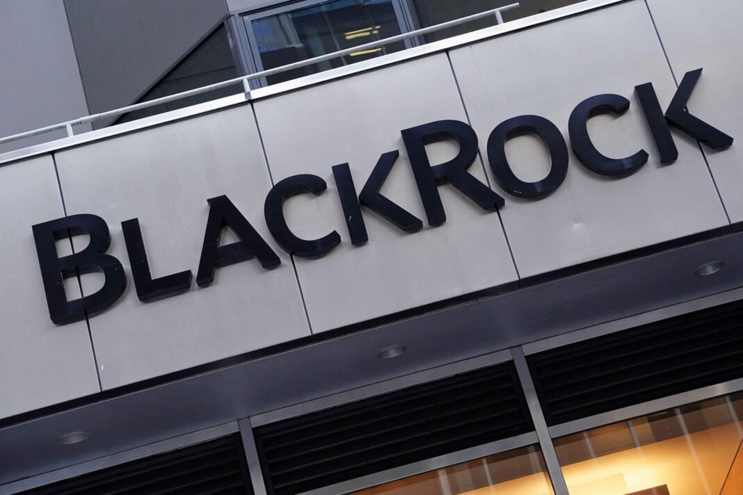 blackrock:-Με-5-έως-10-δισ.-δολάρια-στην-ipo-της-spacex