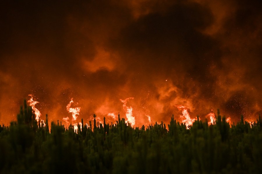 Νέα πλατφόρμα επιτρέπει στοιχήματα για δασικές πυρκαγιές – Φόβοι για αύξηση των εμπρησμών