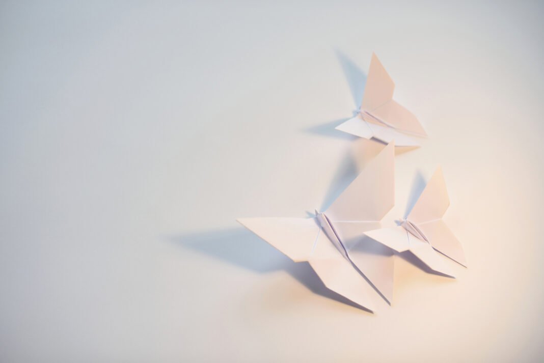 Πώς-η-αγάπη-ενός-18χρονου-για-το-origami-του-χάρισε-βραβείο-100.000-δολαρίων