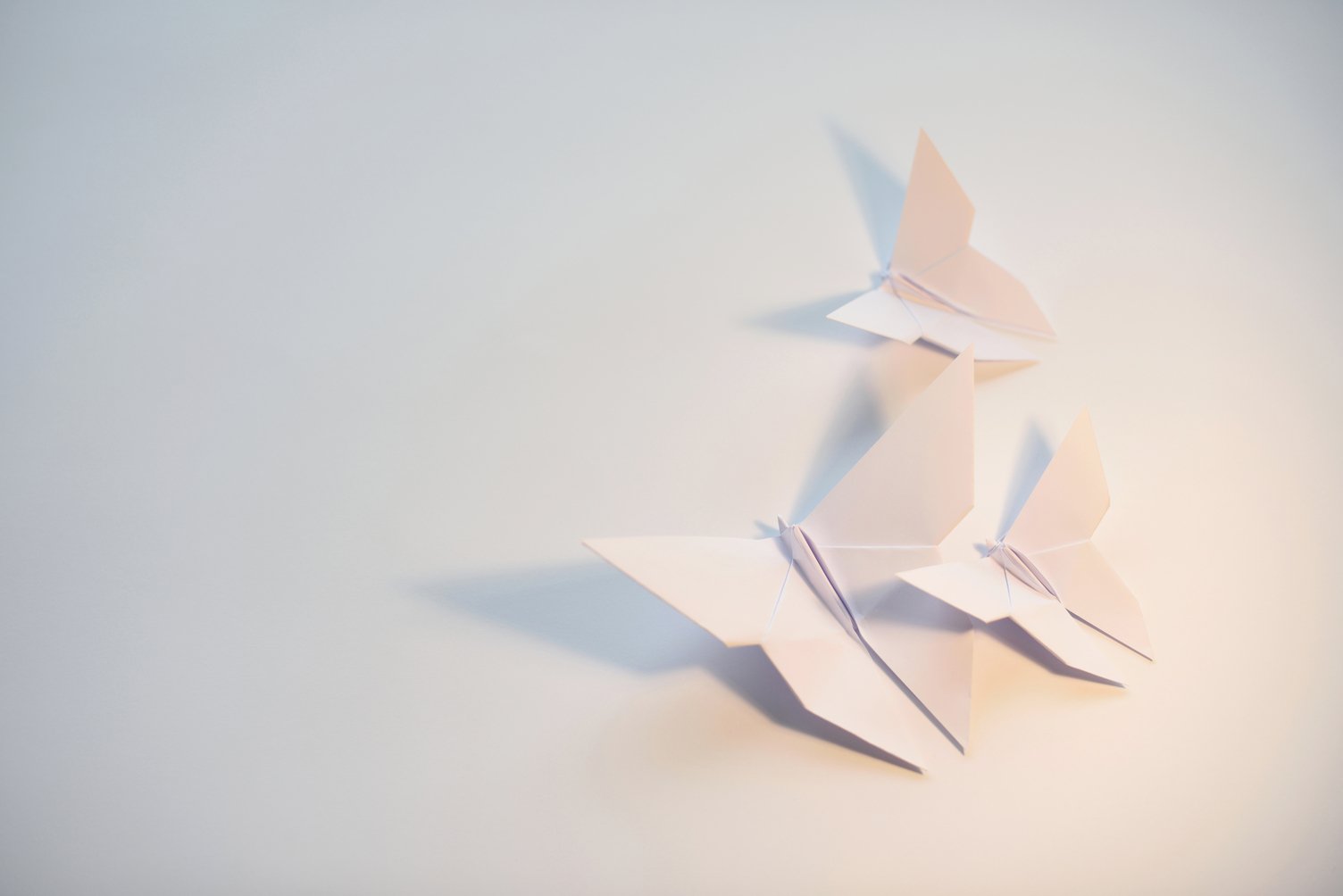 Πώς η αγάπη ενός 18χρονου για το origami του χάρισε βραβείο 100.000 δολαρίων